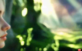 MagicLight AI：无需编码免费AI视频生成终极指南
