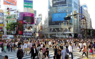 小小影视日本韩国影视作品魅力解析-内容优化策略探究
