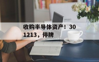 收购半导体资产！301213，停牌