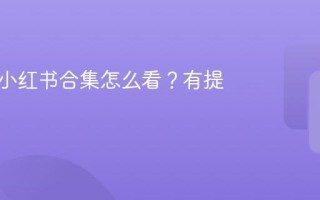 别人的小红书合集怎么看？有提示吗？