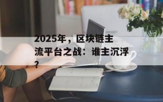 2025年，区块链主流平台之战：谁主沉浮？