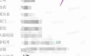 钉钉智能人事信息完善指南