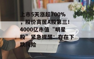 上市5天涨超700%，股价高居A股第三！4000亿市值“明星股”紧急提醒：存在下跌风险