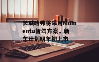 长城哈弗将采用Momenta智驾方案，新车计划明年初上市