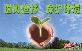 成长影片免费观看完整版攻略-合法途径与个人成长启示