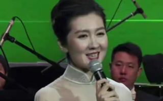 王静：用歌声传递情感的歌唱演员