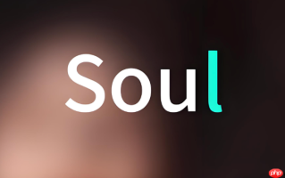soul的“点亮”是什么意思_Soul点亮功能说明