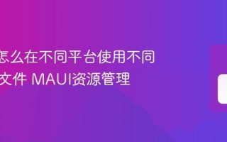 MAUI怎么在不同平台使用不同的资源文件 MAUI资源管理