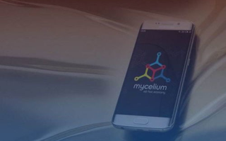 imToken vs TokenPocket：哪个更适合你的数字资产管理？
