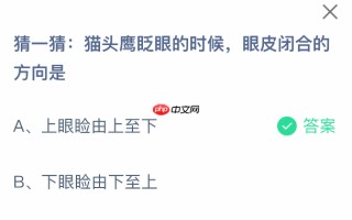 猜一猜猫头鹰眨眼的时候眼皮闭合的方向是