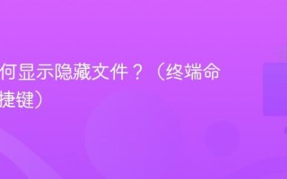 Mac如何显示隐藏文件？（终端命令和快捷键）