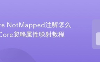 EF Core NotMapped注解怎么用 EF Core忽略属性映射教程