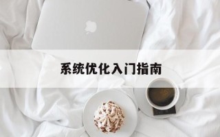 系统优化入门指南