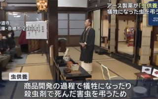 日本杀虫剂公司为昆虫举行追悼会：以缅怀它们参与产品研发