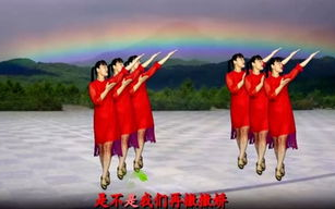 美美哒广场舞,健康娱乐新风尚-广场舞发展趋势解析