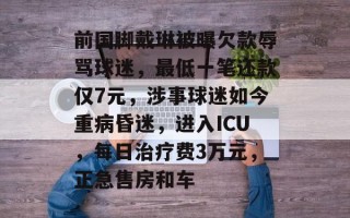 前国脚戴琳被曝欠款辱骂球迷，最低一笔还款仅7元，涉事球迷如今重病昏迷，进入ICU，每日治疗费3万元，正急售房和车