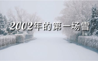 刀郎最好听的12首歌-深情旋律回顾