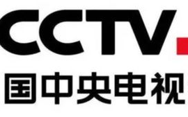 中央体育CCTV5+直播，专业赛事实时观看-观看指南与特色介绍