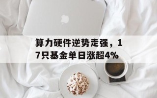 算力硬件逆势走强，17只基金单日涨超4%