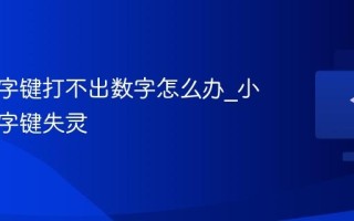 键盘数字键打不出数字怎么办_小键盘数字键失灵