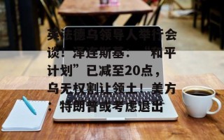 英法德乌领导人举行会谈！泽连斯基：“和平计划”已减至20点，乌无权割让领土！美方：特朗普或考虑退出