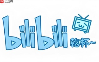 Bilibili动漫永久直达链接 Bilibili动漫网站入口官方网址