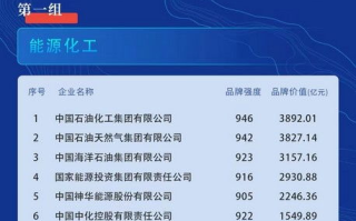 迪士尼乐园，魔幻世界的终极体验-探索与欢乐之旅
