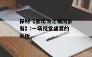 探秘《熊出没之猎鹰熊岛》:一场视觉盛宴的解析