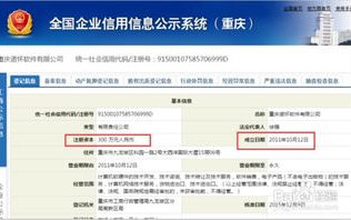 十大交友软件app排行榜,满足不同社交需求的解决方案解析