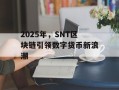 2025年，SNT区块链引领数字货币新浪潮