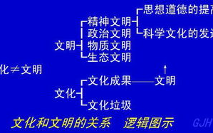 外来媳妇本地郎,相处之道-和谐共处策略解析