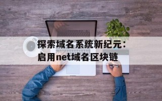 探索域名系统新纪元：启用net域名区块链