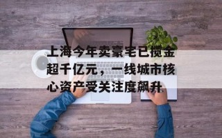 上海今年卖豪宅已揽金超千亿元，一线城市核心资产受关注度飙升
