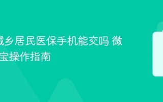 2026城乡居民医保手机能交吗 微信支付宝操作指南