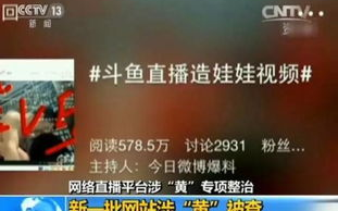 CCTV1中央一台直播，权威新闻与精彩节目在线观看指南