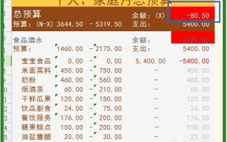 家庭财务管理技巧, 实用策略-实现财务自由解析