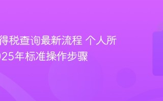 个人所得税查询最新流程 个人所得税2025年标准操作步骤
