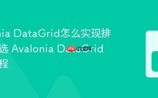 Avalonia DataGrid怎么实现排序和筛选 Avalonia DataGrid排序教程