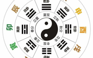十二生肖传奇-探寻传统文化中的动物象征