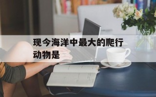 现今海洋中最大的爬行动物是
