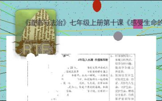 逆命: SEO关键词优化策略与应用解析