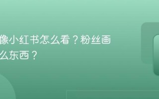 粉丝画像小红书怎么看？粉丝画像是什么东西？