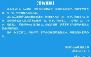 失踪女孩确认遇害，案件侦破进展与心理影响分析