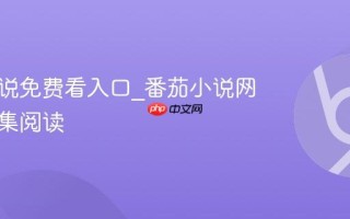 番茄小说免费看入口_番茄小说网页版全集阅读