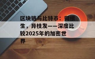 区块链与比特币：同根生，异枝发——深度比较2025年的加密世界