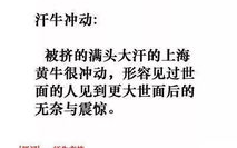 上流社会生活方式,精英阶层特点-深入解析上流社会现象