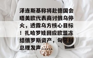 泽连斯基称将赴德国会晤美欧代表商讨俄乌停火，透露乌方核心目标！扎哈罗娃回应欧盟冻结俄罗斯资产，匈牙利总理发声......