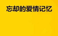 忘记你记得爱情，免费播放的心灵之窗-情感解析之旅