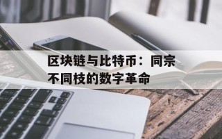 区块链与比特币：同宗不同枝的数字革命