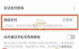 微信支付指纹如何重新录入